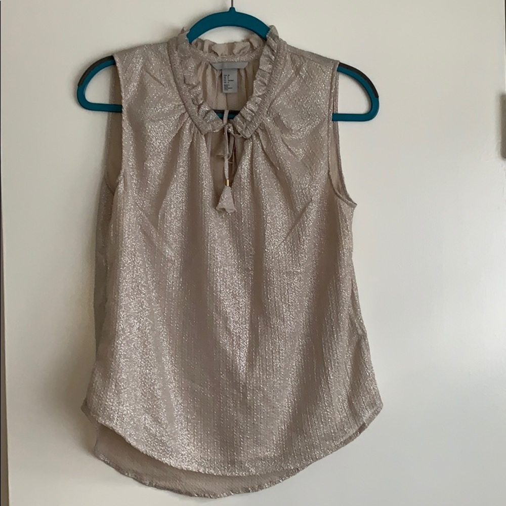 Chiffon silver shimmer taupe blouse